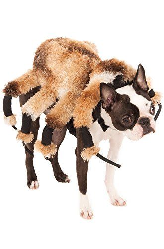 17) Spider Harness Pet Costume