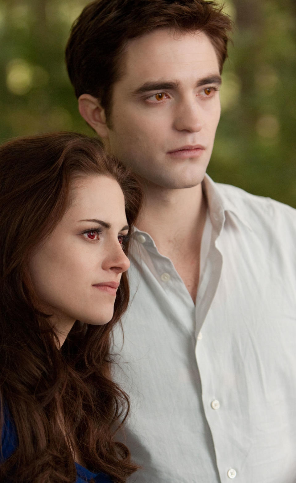 13. The Twilight Saga