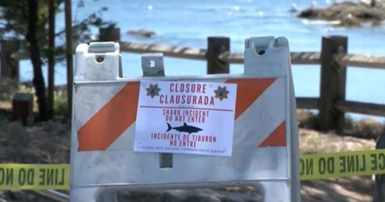 Un cartel indica el cierre temporal de una playa tras el ataque de un tiburón a un hombre en Estados Unidos