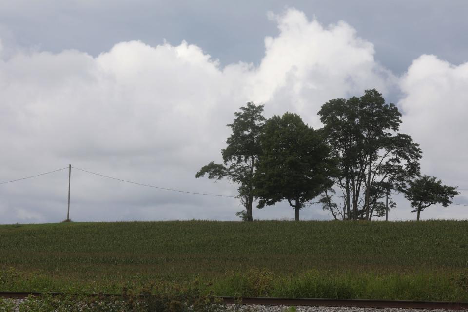 This area is at the end of Golah Road and further past the tree line is the Genesee River.