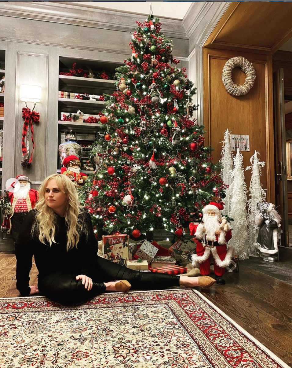 Rebel relaxes in front of a magnificent tree Photo: Instagram/@rebelwilson