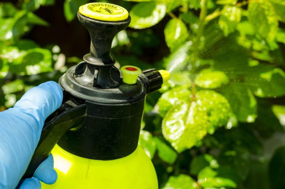 diy vinegar weed killer