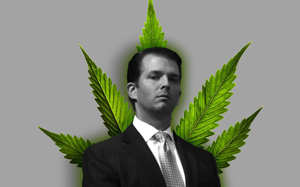 What appears to be a typo on Donald Trump Jr.'s Twitter account is creating excitement among marijuana enthusiasts. (Photo: HuffPost Illustration/Getty Images)