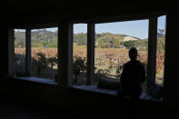 In this Wednesday, Nov. 6, 2019 photo, Gina Lathrum stands in the tasting room of Limerick Lane Wines and sees how close the recent wildfires in the hills came to their vineyards in Healdsburg, Calif. The winery avoided serious damage despite flames that licked at two sides of its land in the Russian River Valley just south of Healdsburg. Limerick's grapes were already harvested, crushed and stored in tanks and barrels. The winery's sealed cellar prevented smoke damage to its inventory, said owner Jake Bilbro, although its tasting room now smells of acrid smoke. (AP Photo/Eric Risberg)