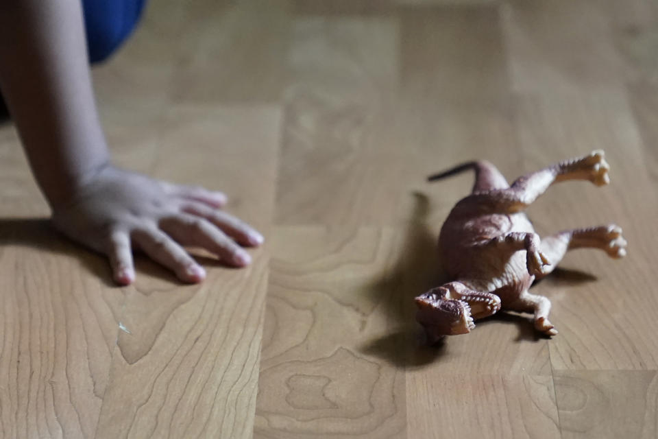 Alexander, 3, who is being treated for developmental delays, watches Paw Patrol as one of his dinosaur toys lays nearby in the living room of his West Chicago, Ill., home Tuesday, Aug. 8, 2023. Alexander qualified for five Early Intervention therapies in summer 2021, physical, occupational, developmental, behavioral and speech when he was about a year old. But the family waited more than a year to get any of these services in-person. (AP Photo/Charles Rex Arbogast)