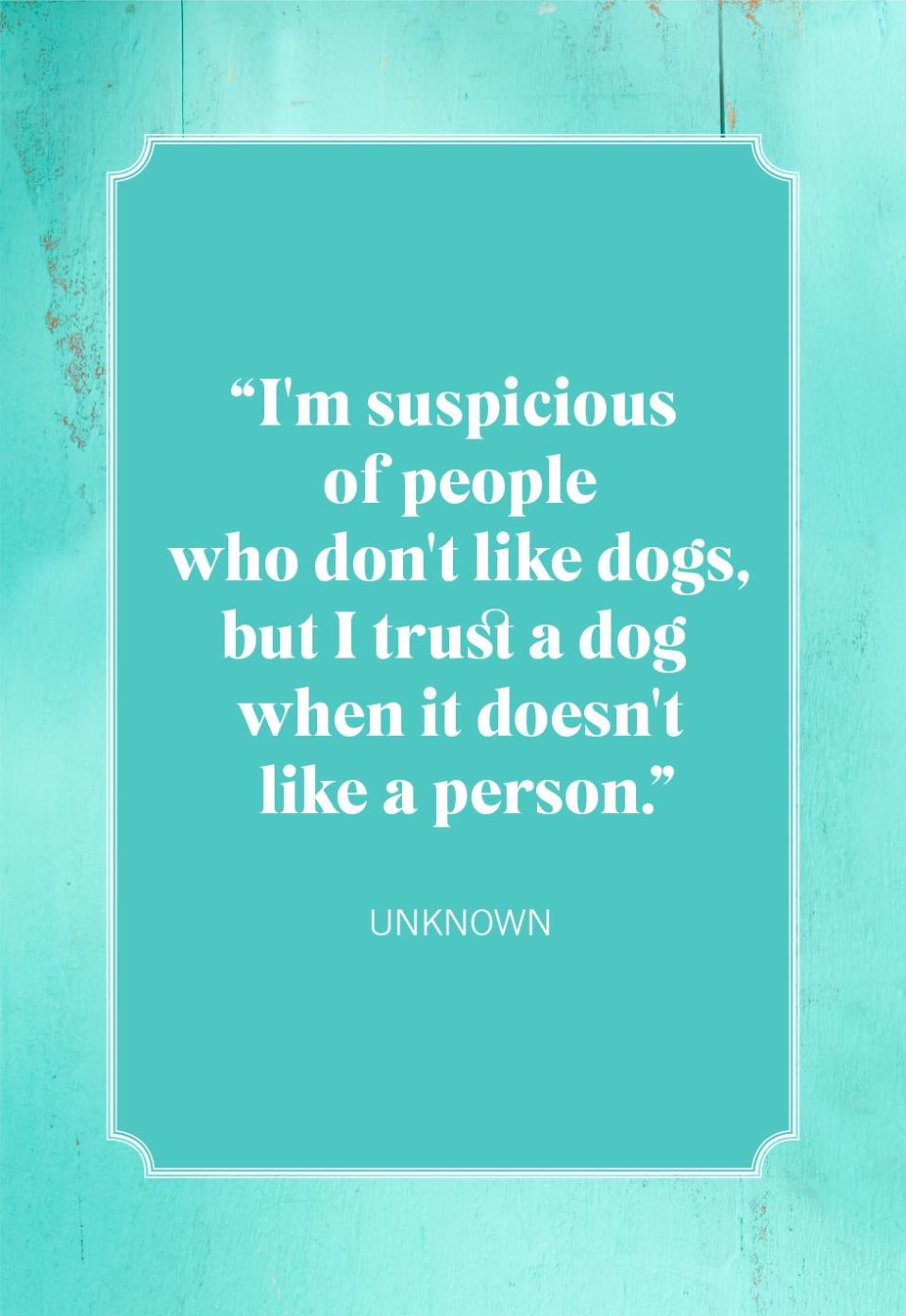 dog mom quotes unknown