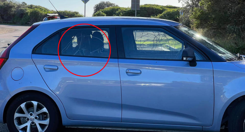 Dog inside silver car with barbed wire at Caves Beach. 