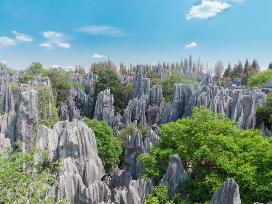 Stone Forest China