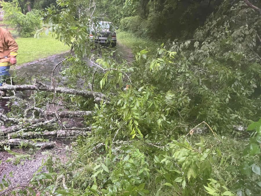 Tree fallen in roadway. Photo courtesy of Lilbert-Looneyville Volunteer Fire Department.