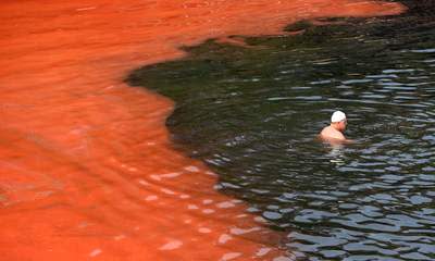 Bondi Beach Closed By Red Algae Bloom