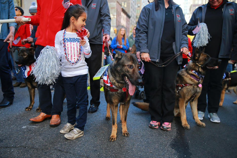 2016 NYC Veterans Day Parade