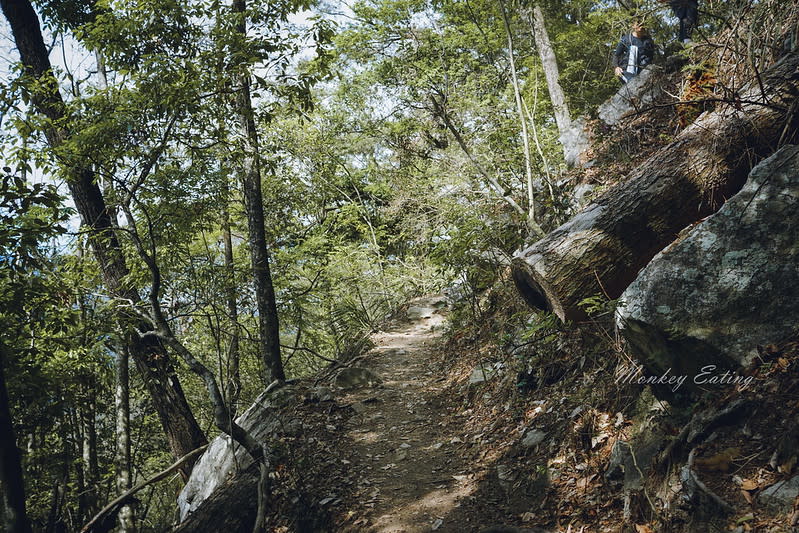 谷關七雄｜波津加山