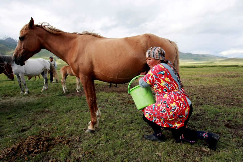 FILE PHOTO: A farmer milks a horse at a high altitude summer pasture called Suusamyr, south of the capital Bishkek