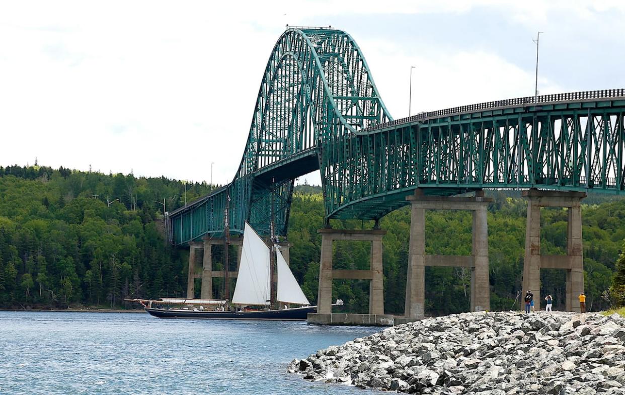 The Bluenose II sails under the Seal Island Bridge in June 2021.  (Brittany Wentzell - image credit)