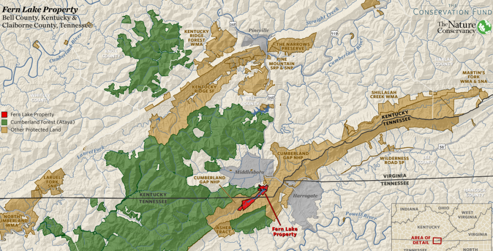 Two conservation groups bought property containing Fern Lake, near Middlesboro, in October 2023. The lake ultimately will be transferred to the Cumberland Gap National Historical Park.