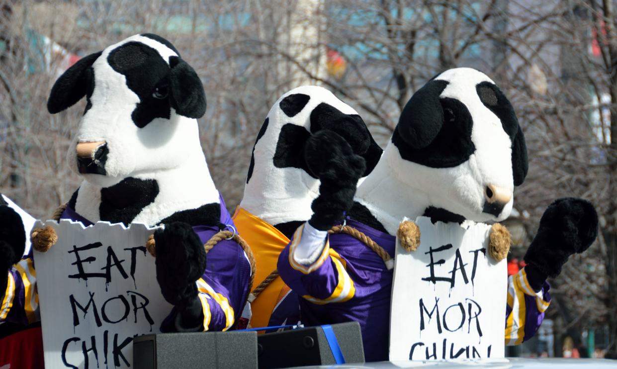 Atlanta, Georgia, USA - December 31, 2012: Famous ' Eat Mor Chikin ' cows at parade leading up to the Chick-fil-A bowl game. Event took place at the Georgia Dome with Clemson and LSU on December 31, 2012.