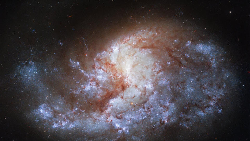 hubble space telescope view of a spiral galaxy in deep space, showing cool blue stars near its core.