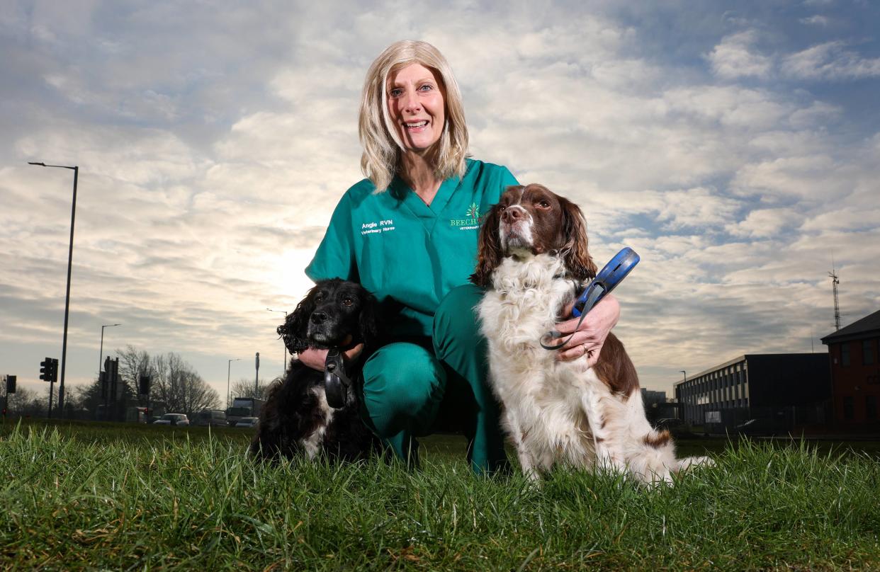 Angie Shaw has credited a labrador with helping to save her life after the pet inadvertently uncovered her breast cancer. (Beechwood Vets/SWNS)