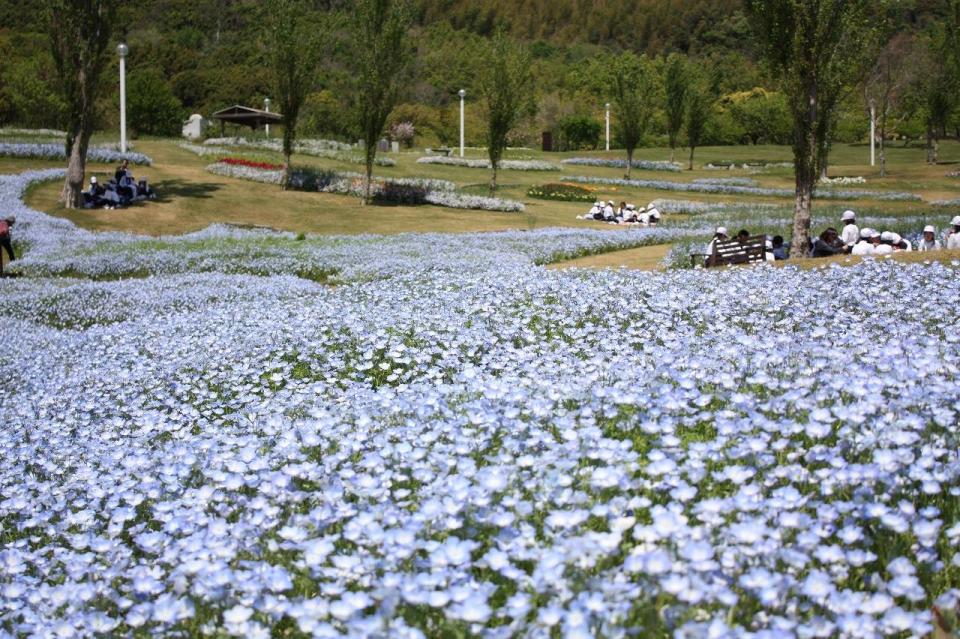 淡路島国営明石海峡公園