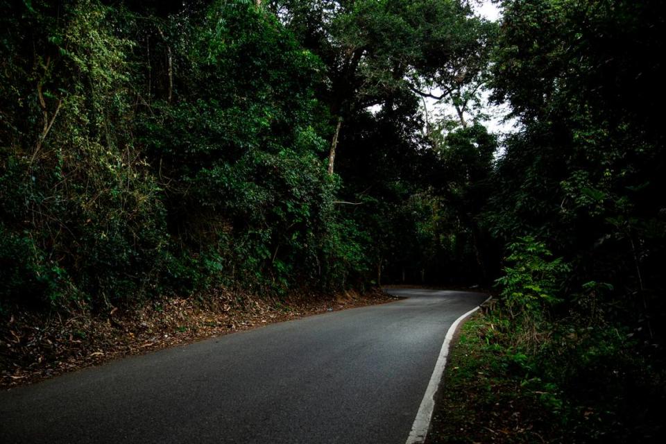 The rural highway in the Puerto Rican town of Coamo where Angie González was found dead in January 2021.