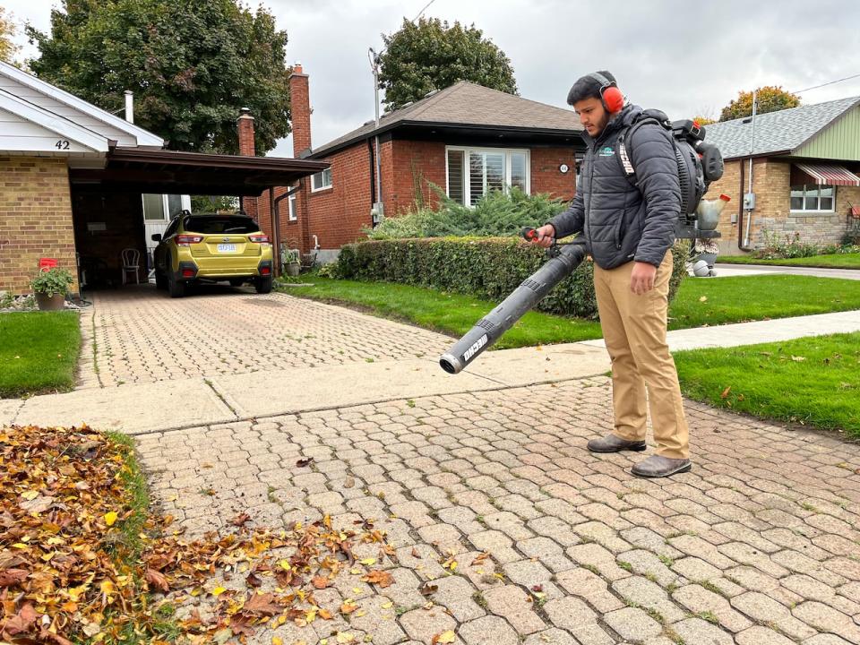 Sufian Ali owns a landscaping company and says he could not do the job without gas-powered leaf blowers. 