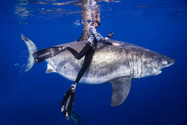 Kayleigh Nicole Grant comparte fotos de sus diversos encuentros con tiburones.