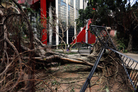 A tree that was uprooted by strong winds from Typhoon Hato is seen in Macau, China August 24, 2017. REUTERS/Tyrone Siu