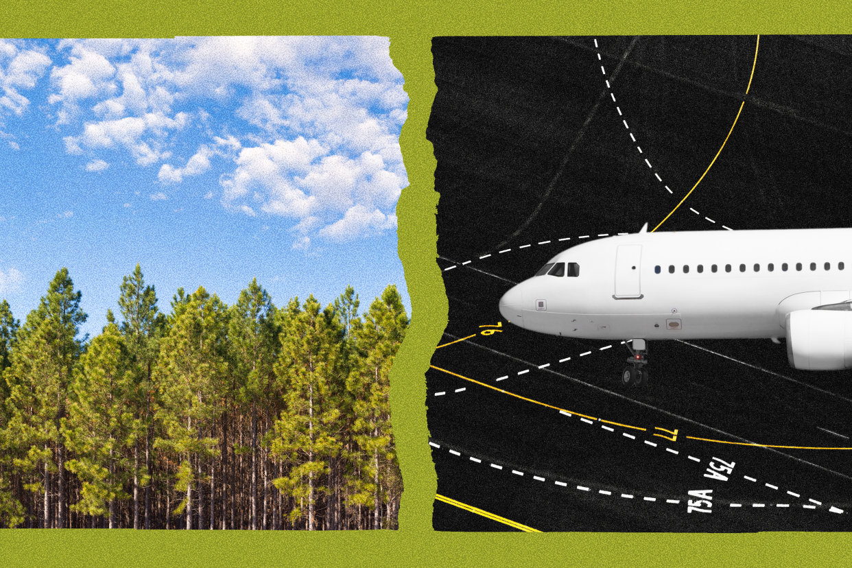 Photo illustration of a forest of trees, at left, and the front portion of a jet airliner