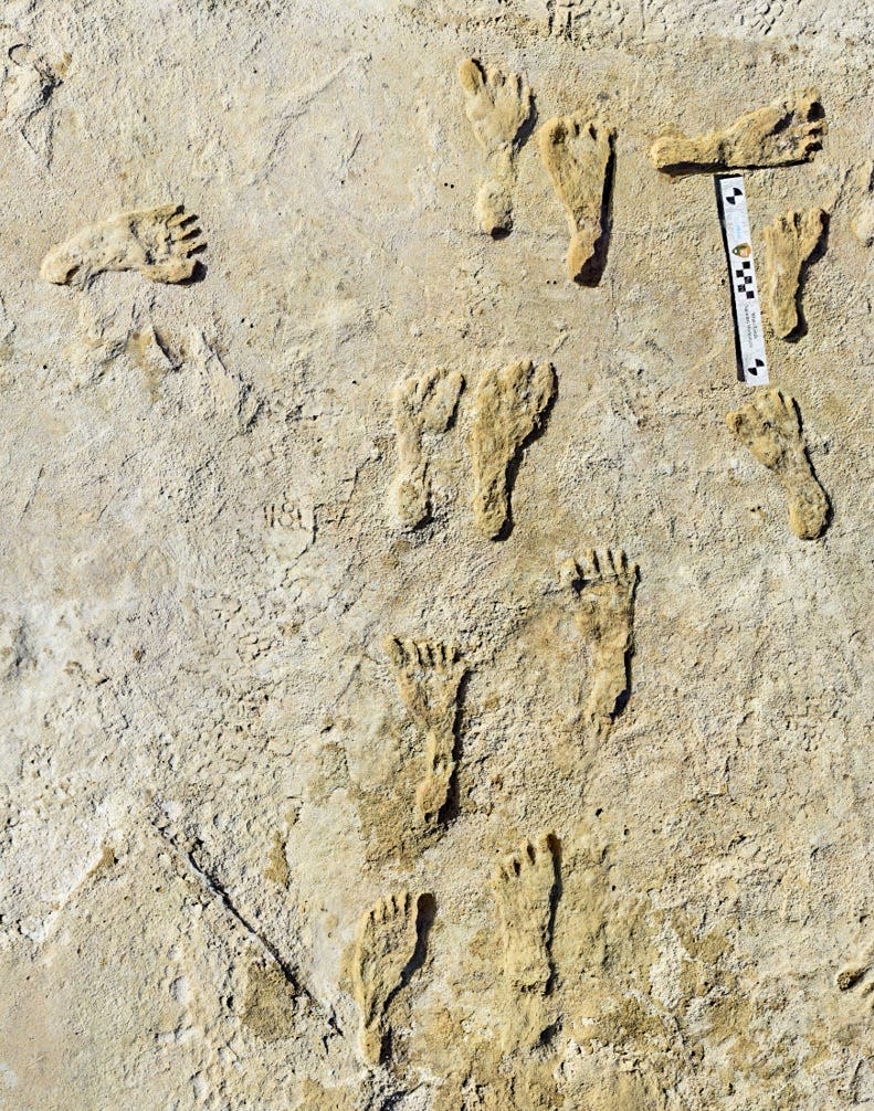 Fossilized human footprints found at White Sands National Monument in New Mexico.