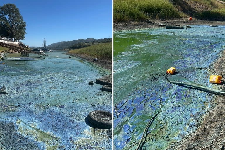 Hay focos de contaminación en distintas zonas del lago