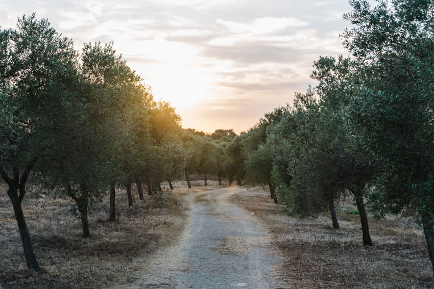 Algunas de las rutas de Llucasaldent Gran