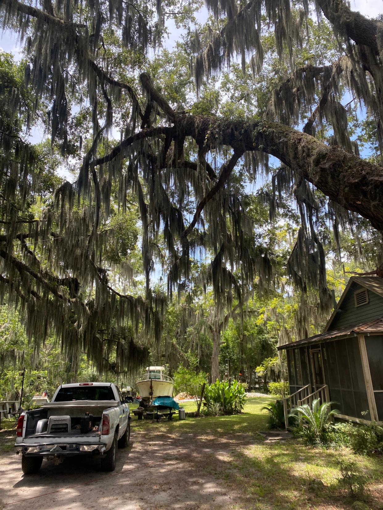 Hog Hammock is a small Black community on Sapelo Island and one of the last surviving, intact, Gullah Geechee communities in the area.
