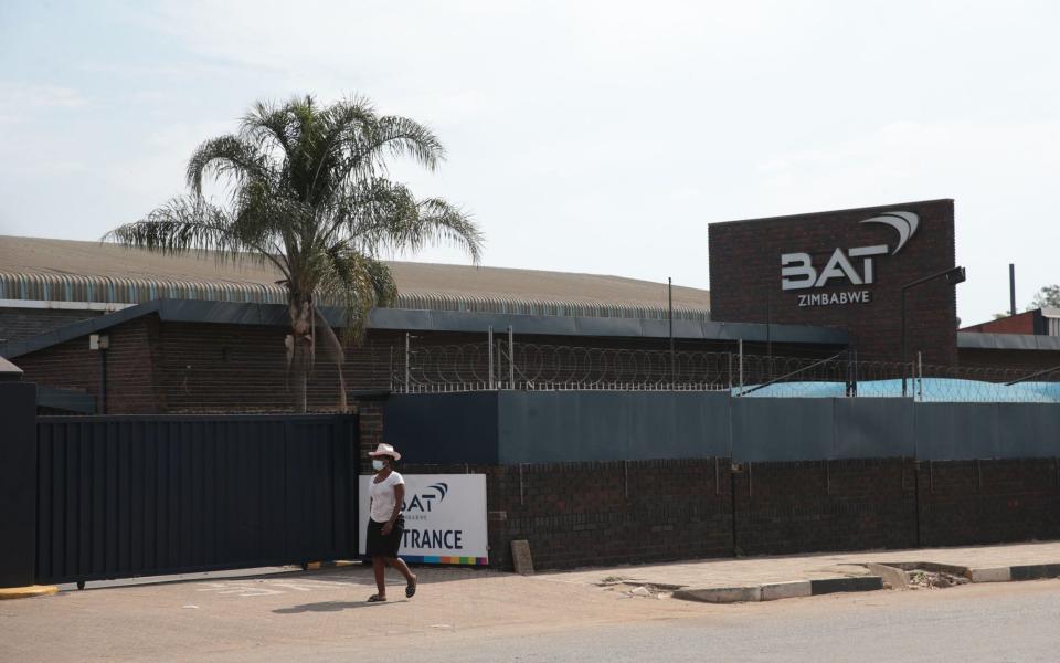 A woman walks past the British American Tobacco (BAT) premises in the light industrial site of Harare, Zimbabwe - AARON UFUMELI/EPA-EFE/Shutterstock 