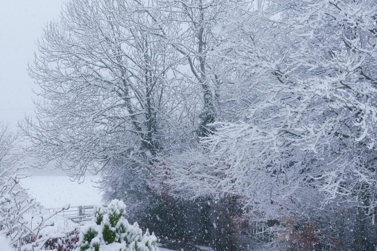 Chepstow, South Wales, UK. March 2nd 2024. WEATHER: Parts of Monmouthshire, South Wales woke to a heavy snowfall that persisted throughout the morning, BridgetCatterall/AlamtLiveNews