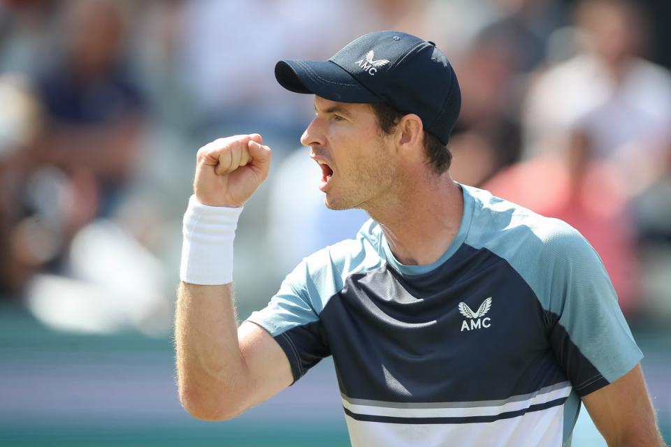 Relief: The unseeded Andy Murray avoided a big-name opponent in round one at Wimbledon (Getty Images)