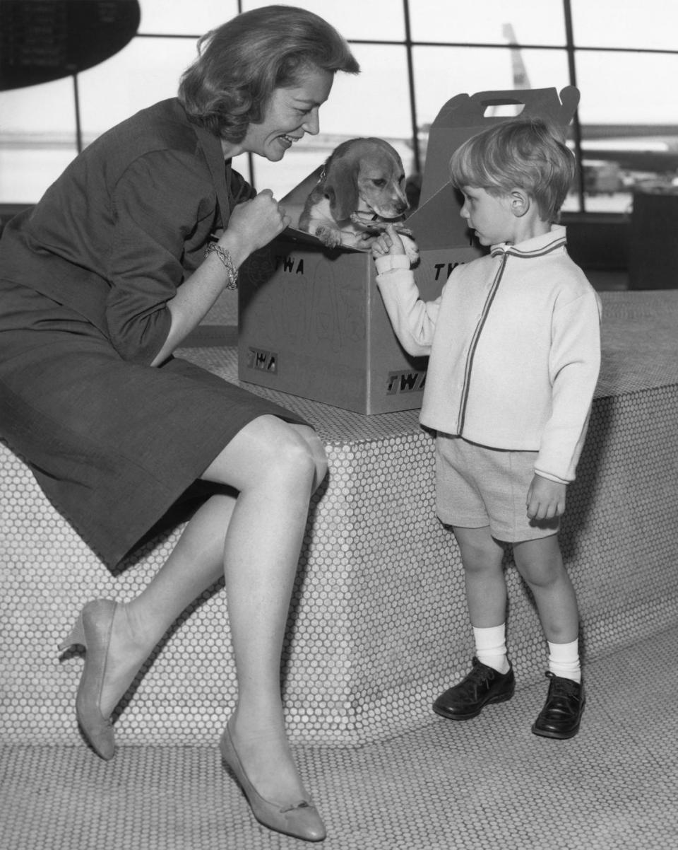 1965: Lauren Bacall and Her Beagle