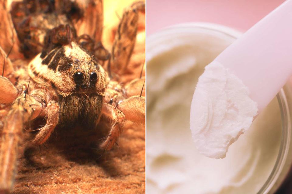 <p>Getty Images</p> Stock Image of wolf spider (L), Stock image of face cream (R)