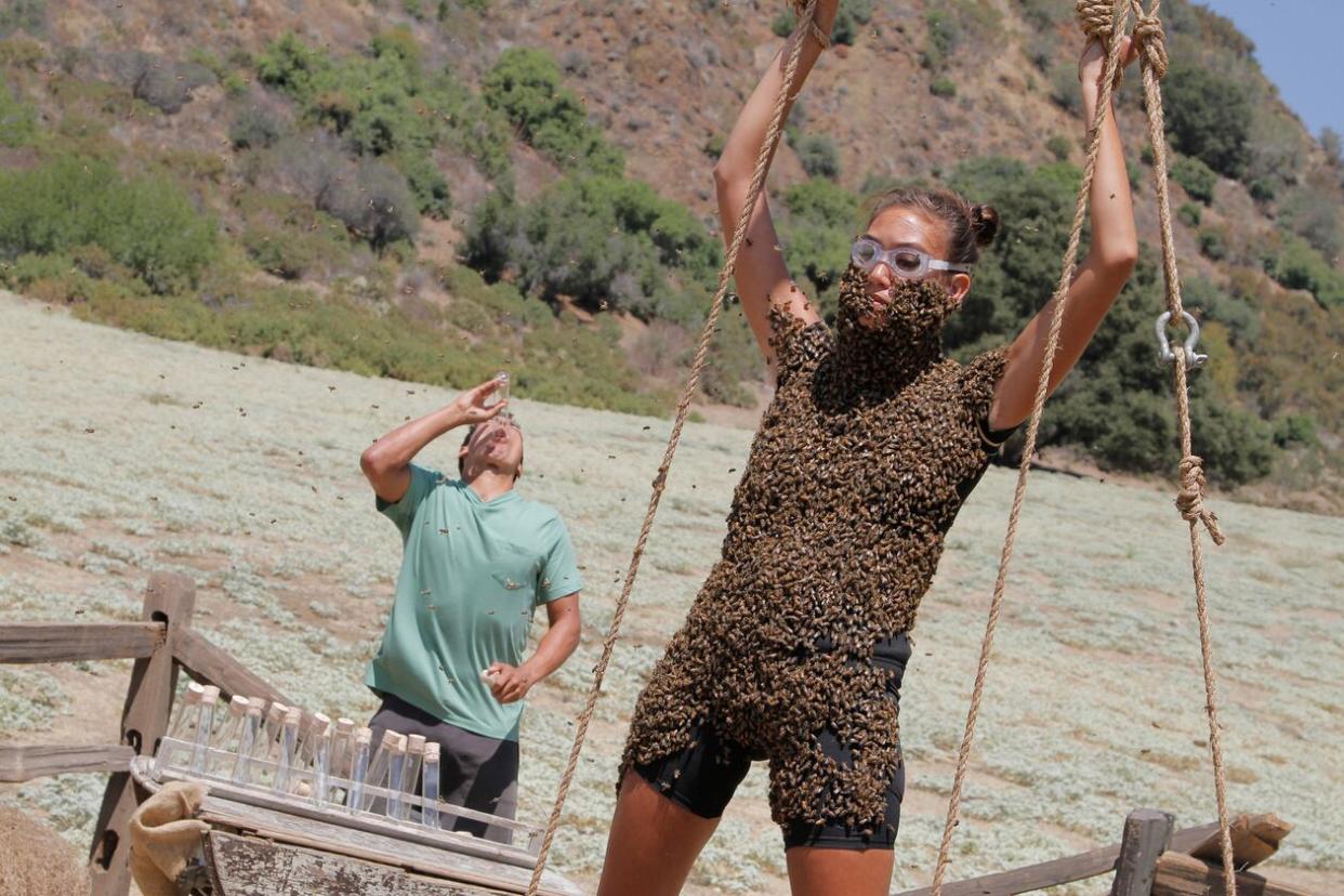 A 'Fear Factor' contestant is covered in bees in the 2011 revival (Photo: NBC)