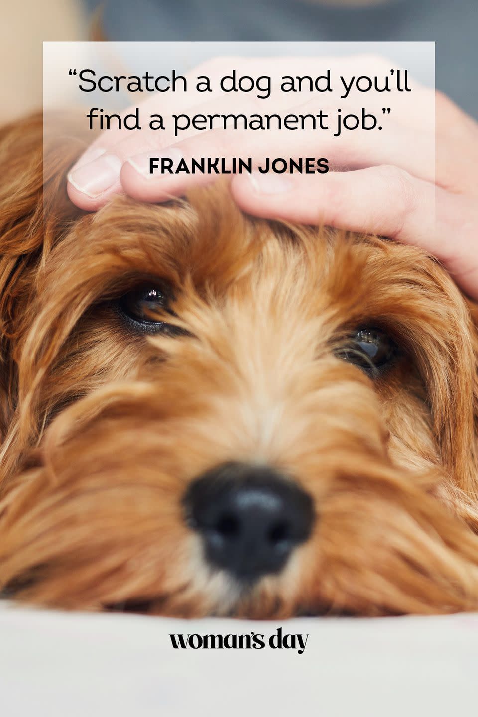 Franklin Jones