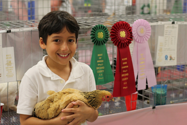 Youth and adults can enter a variety of exhibits, from livestock to sculpture, at the 81st Annual North Florida Fair.