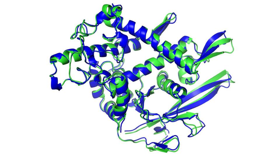 A breakthrough on protein folding could unlock new possibilities into disease understanding and drug discovery, among other fields.