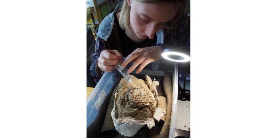 <span>Una restauradora recupera cuidadosamente las tablillas cuneiformes de una vasija de cerámica, abierta en el laboratorio del equipo de excavación en Duhok. (Foto: Universidades de Friburgo y Tubinga, KAO/Zenger)</span>