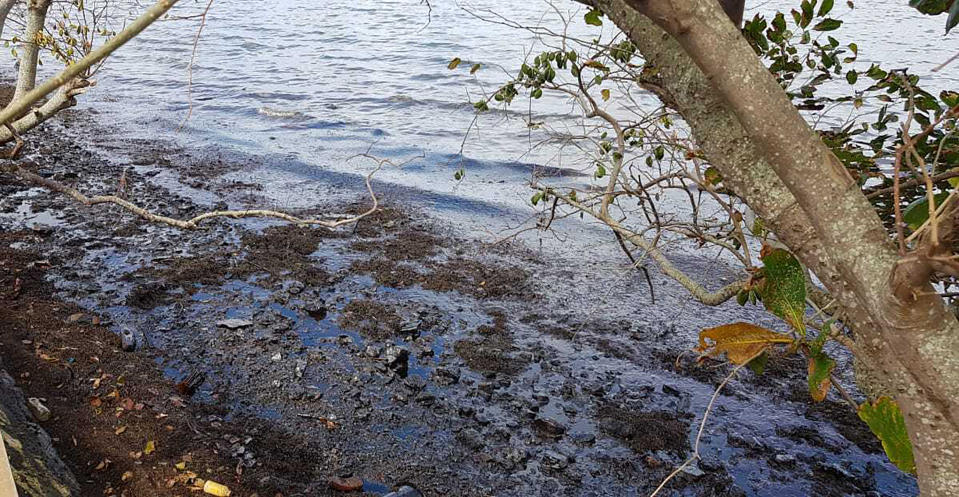 This photo taken and provided by Sunil Dowarkasing, showing oil polluting the foreshore on the eastern side of Mauritius, after it leaked from the MV Wakashio, a bulk carrier ship that recently ran aground off the southeast coast of Mauritius, Sunday, Aug. 9, 2020. Residents of the Indian Ocean island nation of Mauritius are stuffing fabric sacks with sugar cane leaves to create makeshift oil spill barriers as tons of fuel has leaked from a grounded ship. (Sunil Dowarkasing via AP)