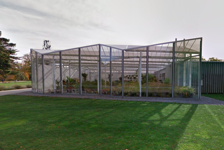 The plant was stolen from the Christchurch Botanic Gardens: Google Street View