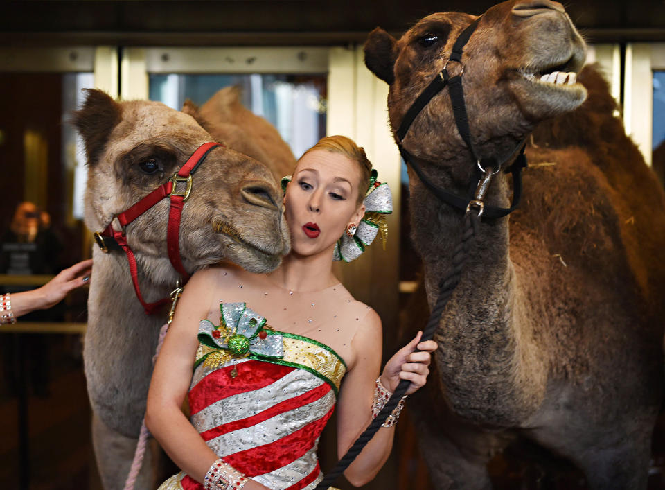 Blessing of the animals at Radio City