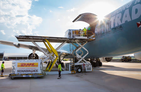 A Cathay Pacific Airways cargo plane is loaded with goods at Brisbane's West Wellcamp Airport November 23, 2015 in this handout provided by Cathay Pacific Airways October 19, 2016. Cathay Pacific Airways/Andrew Coates/Handout via REUTERS