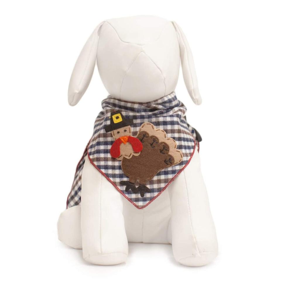 Product photo of a dog mannequin wearing a Tail Trends Thanksgiving Dog Bandana on a white background