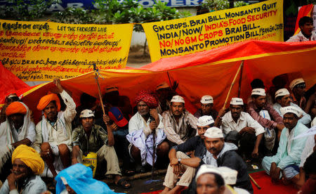 Farmers take shelter under a plastic sheet during a day-long protest in New Delhi, August 2013. REUTERS/Adnan Abidi