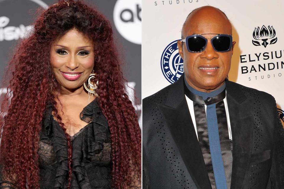 <p>Michael Loccisano/WireImage,  Allen Berezovsky/Getty</p> Chaka Khan; Stevie Wonder