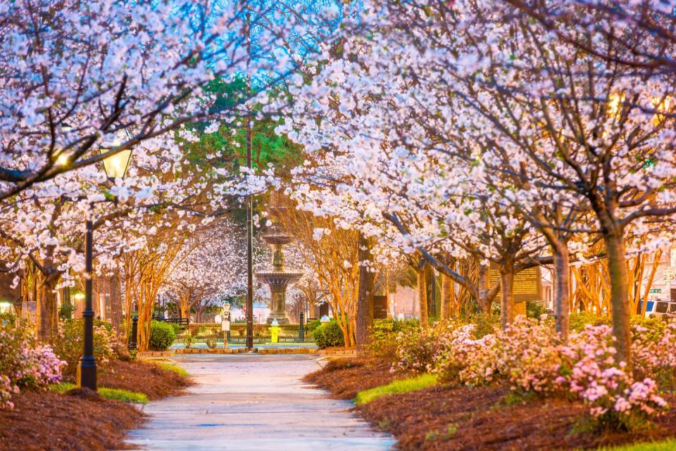 macon, georgia, usa